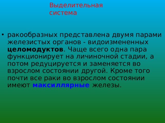 Выделительная система ракообразных представлена двумя парами железистых органов - видоизмененных целомодуктов . Чаще всего одна пара функционирует на личиночной стадии, а потом редуцируется и заменяется во взрослом состоянии другой. Кроме того почти все раки во взрослом состоянии имеют максиллярные железы.  