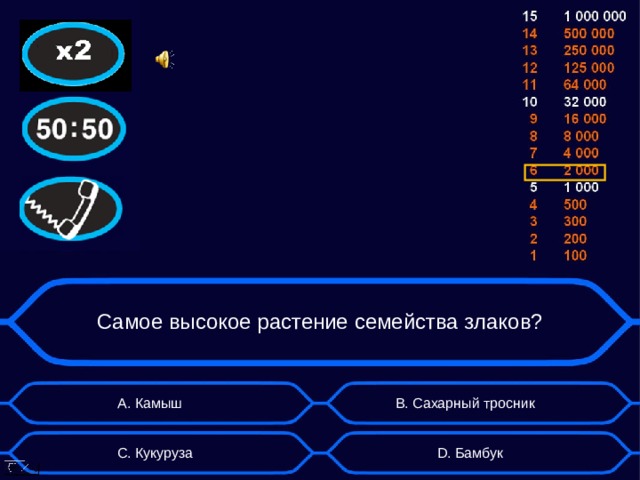 Самое высокое растение семейства злаков? А. Камыш B . Сахарный тросник D . Бамбук C . Кукуруза  