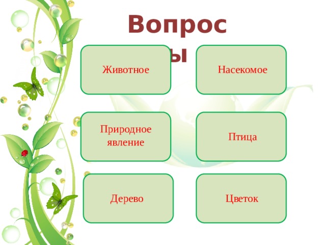 Вопросы Животное Насекомое Природное явление Птица Дерево Цветок 