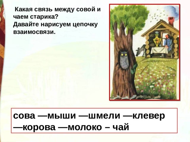   Какая связь между совой и чаем старика? Давайте нарисуем цепочку взаимосвязи. сова —мыши —шмели —клевер —корова —молоко – чай 