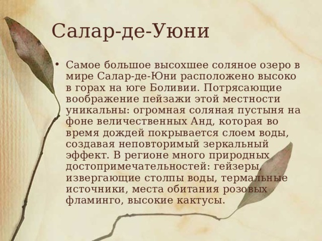 Салар-де-Уюни Самое большое высохшее соляное озеро в мире Салар-де-Юни расположено высоко в горах на юге Боливии. Потрясающие воображение пейзажи этой местности уникальны: огромная соляная пустыня на фоне величественных Анд, которая во время дождей покрывается слоем воды, создавая неповторимый зеркальный эффект. В регионе много природных достопримечательностей: гейзеры, извергающие столпы воды, термальные источники, места обитания розовых фламинго, высокие кактусы. 