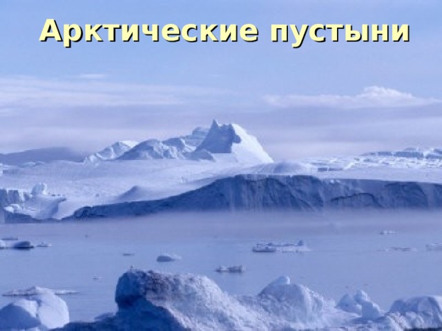 Арктические пустыни   