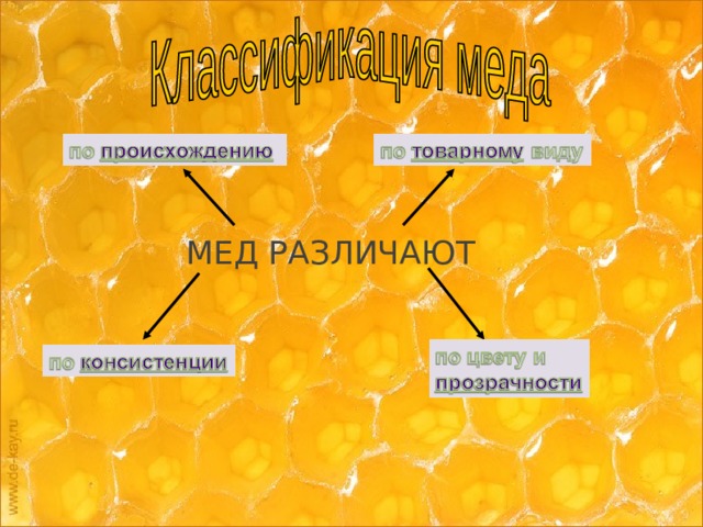 Исследовательский проект мед