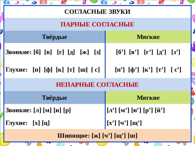 Укажите слово в котором произносится мягкий согласный звук т компьютер темп пастель термин