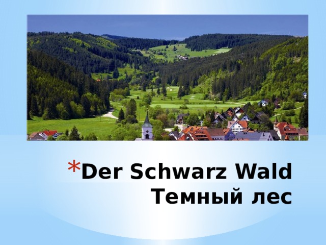 Der Schwarz Wald  Темный лес 