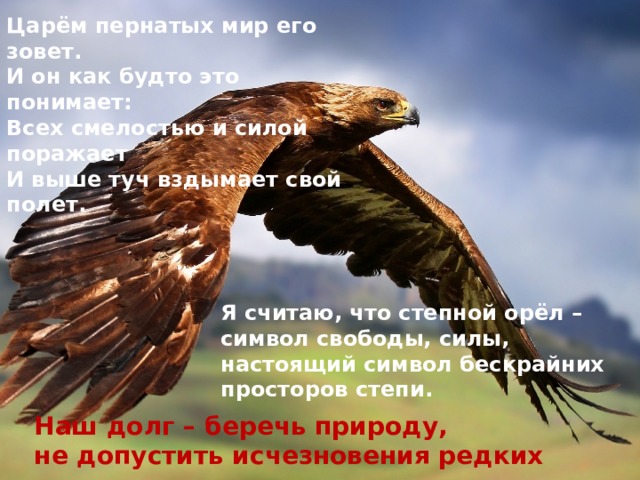 Царём пернатых мир его зовет. И он как будто это понимает: Всех смелостью и силой поражает И выше туч вздымает свой полет. Я считаю, что степной орёл – символ свободы, силы, настоящий символ бескрайних просторов степи. Наш долг – беречь природу, не допустить исчезновения редких видов.   