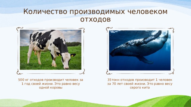 Количество производимых человеком отходов 500 кг отходов производит человек за 1 год своей жизни. Это равно весу одной коровы 35тонн отходов производит 1 человек за 70 лет своей жизни. Это равно весу серого кита 