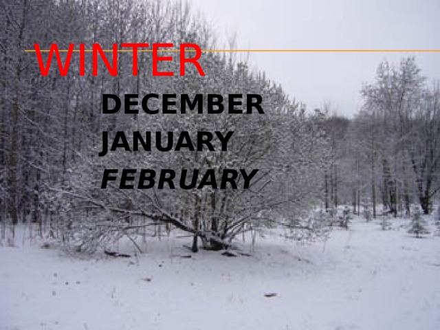 WINTER  DECEMBER  JANUARY  FEBRUARY  
