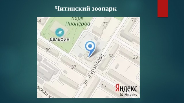 Читинский зоопарк 