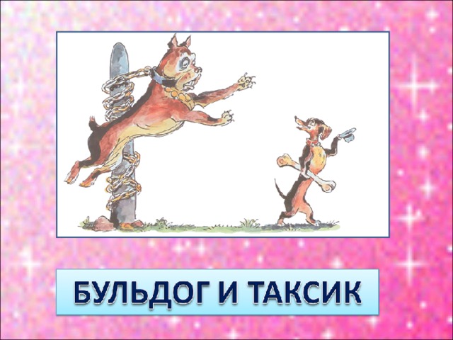 Бульдог и таксик картинки