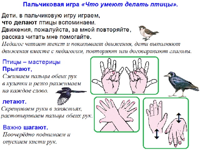 Технологическая карта перелетные птицы старшая группа Пальчиковые игры "Птицы весной".