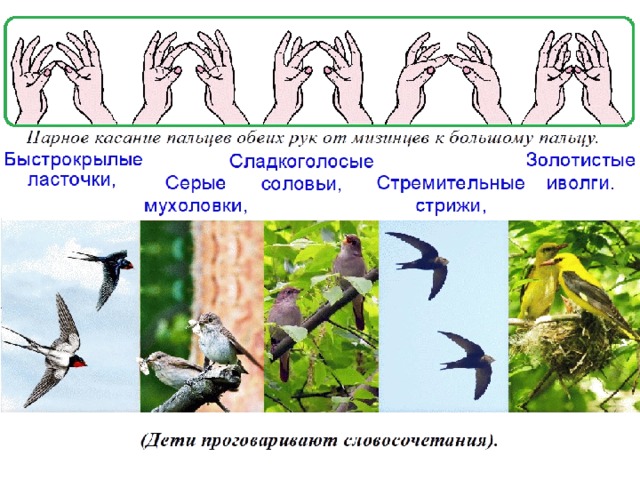 На рисунке изображен процесс который представляет собой реакцию организма перелетных птиц на