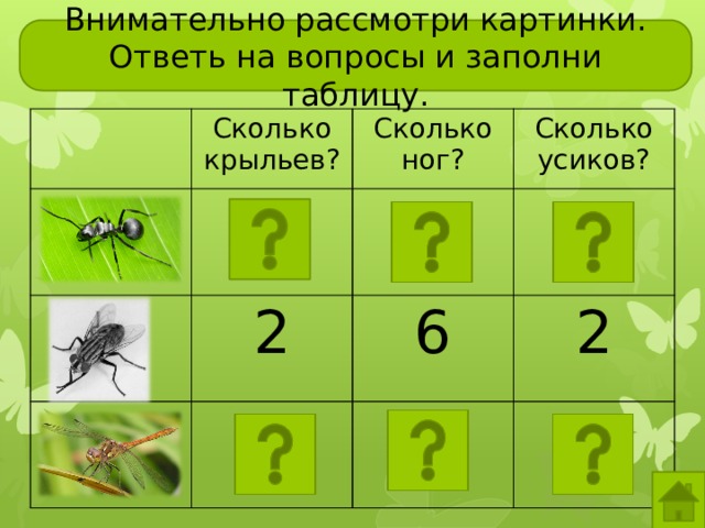 Внимательно рассмотри картинки. Ответь на вопросы и заполни таблицу. Сколько крыльев? Сколько ног? Сколько усиков? 2 6 2 Чтобы лучше рассмотреть насекомое, кликните по картинке. Если рассматривали уже всех насекомых, нажмите «домой»  