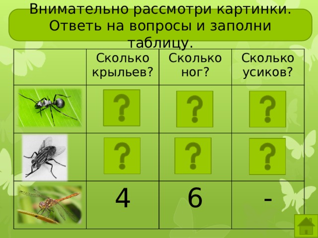 Внимательно рассмотри картинки. Ответь на вопросы и заполни таблицу. Сколько крыльев? Сколько ног? Сколько усиков? 4 6 - Чтобы лучше рассмотреть насекомое, кликните по картинке. Если рассматривали уже всех насекомых, нажмите «домой»  