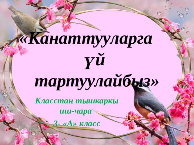 «Канаттууларга үй  тартуулайбыз» Класстан тышкаркы иш-чара 3- «А» класс 