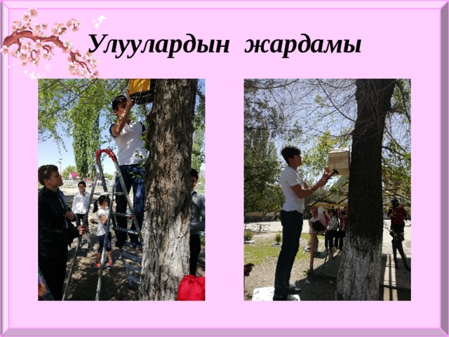 Улуулардын жардамы 