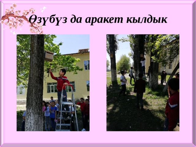 Өзүбүз да аракет кылдык 