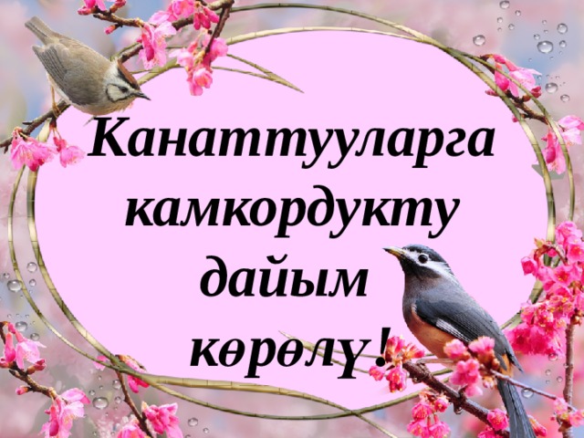 Канаттууларга камкордукту дайым  көрөлү! 