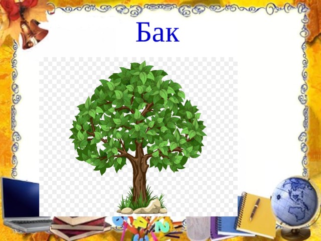 Бак  