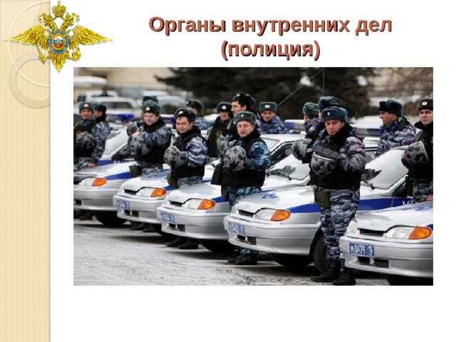 Органы внутренних дел  (полиция)   