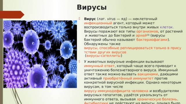 Чаще всего вирусы поражают файлы с расширениями exe com sys