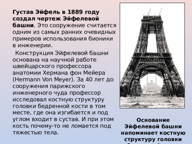   Густав Эйфель в 1889 году создал чертеж Эйфелевой башни . Это сооружение считается одним из самых ранних очевидных примеров использования бионики в инженерии.  Конструкция Эйфелевой башни основана на научной работе швейцарского профессора анатомии Хермана фон Мейера (Hermann Von Meyer). За 40 лет до сооружения парижского инженерного чуда профессор исследовал костную структуру головки бедренной кости в том месте, где она изгибается и под углом входит в сустав. И при этом кость почему-то не ломается под тяжестью тела. Основание Эйфелевой башни напоминает костную структуру головки бедренной кости 