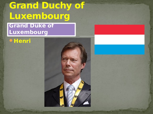 Grand Duchy of Luxembourg Grand Duke of Luxembourg Henri 