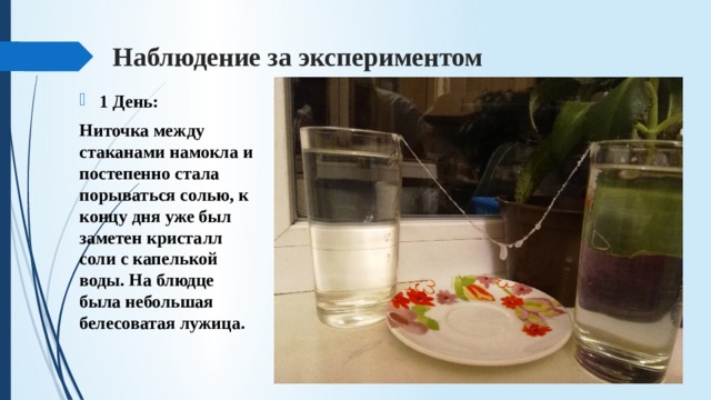 Экспериментатор поместил кристалл соли в каплю воды с живыми амебами изображенном на рисунке опыте