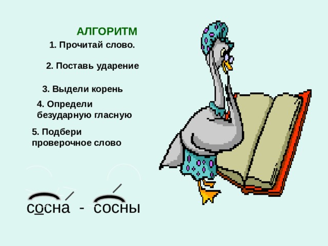 В слове прочитайте выделите корень. Алгоритм прочитай слово поставь ударение. Алгоритм ударение в слове. Алгоритм поставить ударение. Поставить ударение в слове сосна.