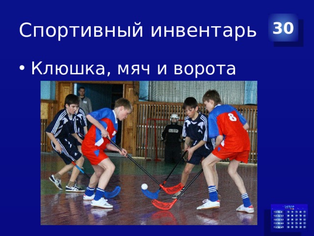 Спортивный инвентарь 30 Клюшка, мяч и ворота 