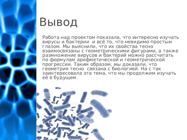 Вирусы и бактерии геометрическая форма расположение в пространстве рост численности проект