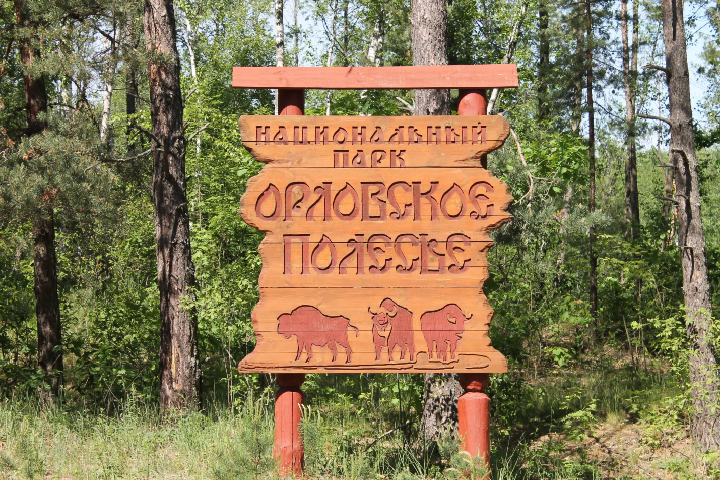 картинки животных орловской области