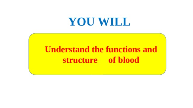 YOU WILL Understand the functions and structure of blood 