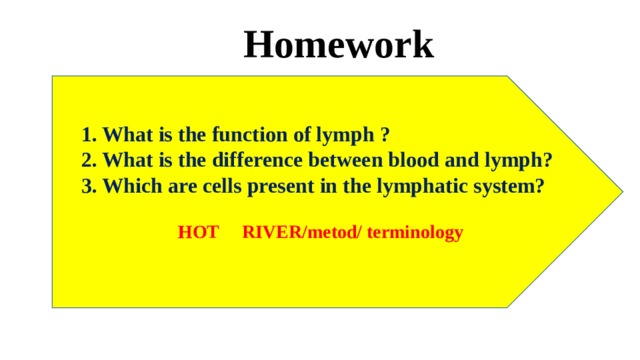 Homework  1. What is the function of lymph ? 2. What is the difference between blood and lymph? 3. Which are cells present in the lymphatic system?  HOT RIVER/metod/ terminology   
