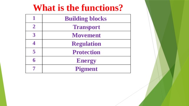 What is the functions? 1 Building blocks 2 Transport 3 Movement 4 Regulation 5 Protection 6 Energy 7 Pigment 