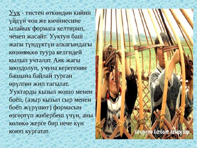 Уук   - тистен өткөндөн кийин үйдүн чоң же кичинесине ылайык формага келтирип, ченеп жасайт. Ууктун баш жагы түндүктүн алкагындагы көзөнөккө туура келгидей кылып учталат. Аяк жагы кооздолуп, учуна керегенин башына байлай турган өрүлгөн жип тагылат. Ууктарды кызыл жошо менен боёп, (азыр кызыл сыр менен боёп жүрүшөт) формасын өзгөртүп жибербеш үчүн, аны көлөкө жерге бир нече күн коюп кургатат. 