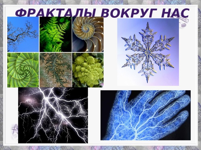 Фракталы вокруг нас