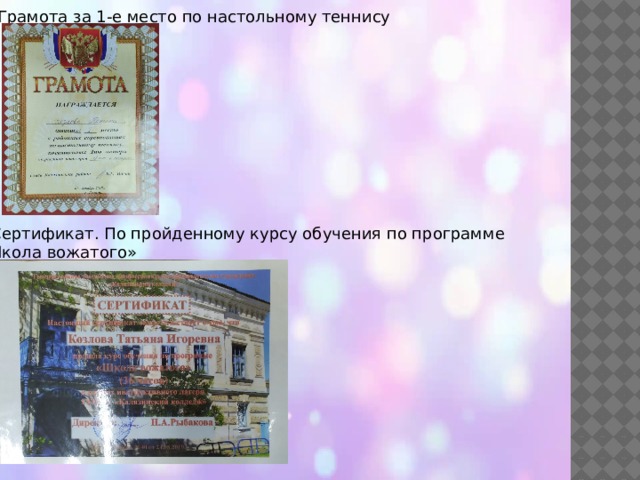 3.Грамота за 1-е место по настольному теннису 4.Сертификат. По пройденному курсу обучения по программе «Школа вожатого» 