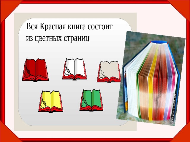 Красная книга онлайн с картинками с цветными страницами