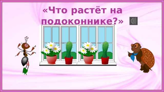 Что растет на подоконнике 1. Что растёт на подоконнике рисунок. Цветы на подоконнике окружающий мир 1 класс. Растения на подоконнике 1 класс. Что растет на подоконнике картинки.