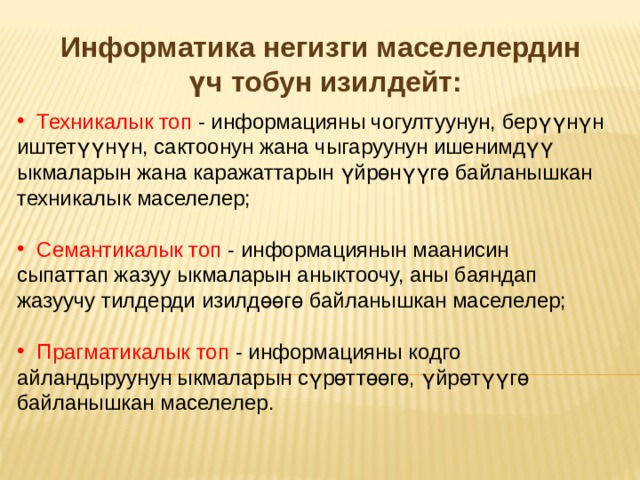Информатика негизги маселелердин үч тобун изилдейт: Техникалык топ -  информацияны чогултуунун, берүүнүн иштетүүнүн, сактоонун жана чыгаруунун ишенимдүү ыкмаларын жана каражаттарын үйрөнүүгө байланышкан техникалык маселелер; Семантикалык топ - информациянын маанисин сыпаттап жазуу ыкмаларын аныктоочу, аны баяндап жазуучу тилдерди изилдөөгө байланышкан маселелер; Прагматикалык топ - информацияны кодго айландыруунун ыкмаларын сүрөттөөгө, үйрөтүүгө байланышкан маселелер. 
