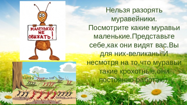 Что будет если разорить муравейник. Смотреть фото Что будет если разорить муравейник. Смотреть картинку Что будет если разорить муравейник. Картинка про Что будет если разорить муравейник. Фото Что будет если разорить муравейник
