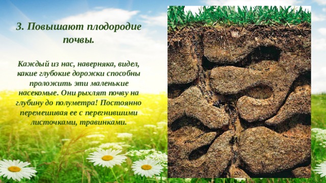 Увеличение плодородия почвы