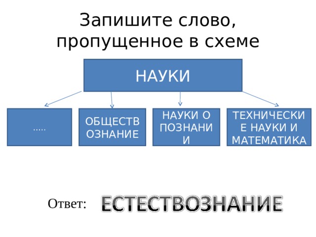 Запишите слово пропущенное в схеме обществознание