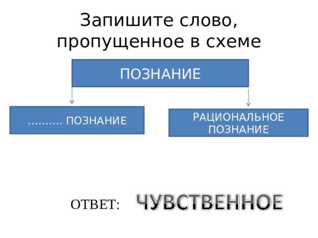 Запишите пропущенное слово в схеме ведущие виды деятельности