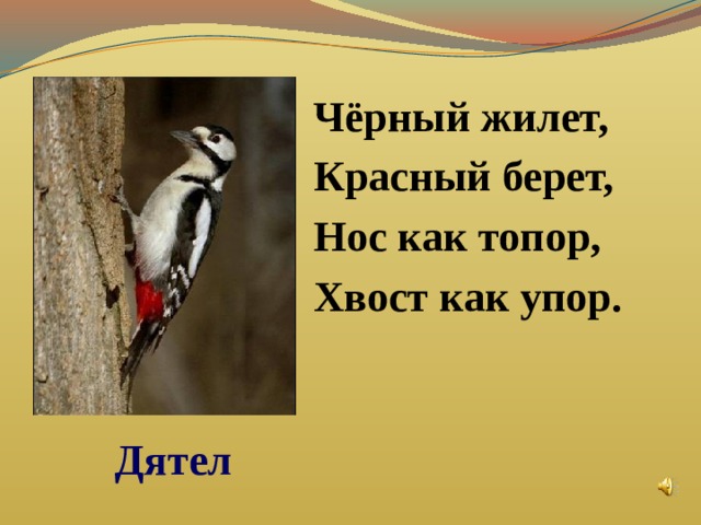 Презентация 1 класс плешаков где зимуют птицы 1 класс