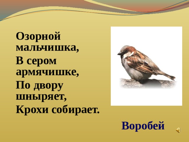 Презентация 1 класс где зимуют птицы школа россии 1 класс