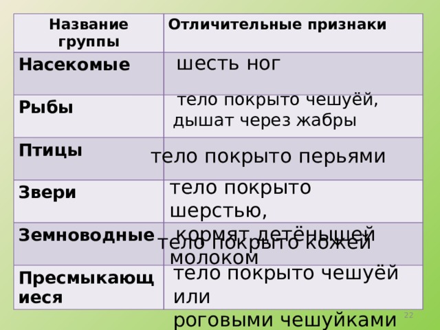 Название групп животных. Насекомые отличительные признаки группы. Отличительные признаки зверей и насекомых. Отличительные признаки птиц рыб зверей насекомых. Отличительные признаки групп животных рыбы.