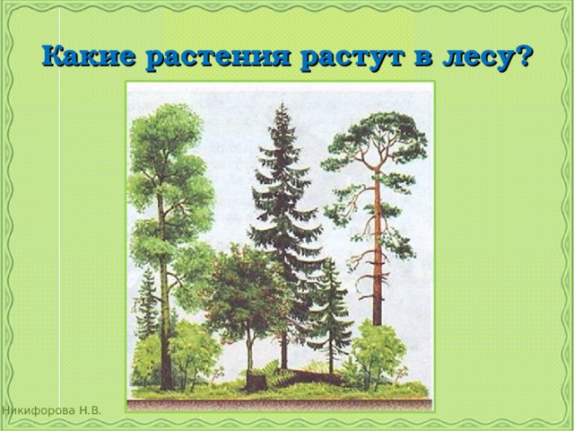 2 класс окружающий мир какие бывают растения. Какие бывают растения 2 класс презентация Туран.