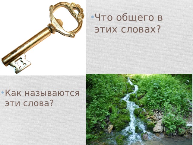 Что общего в этих словах? Как называются эти слова? 